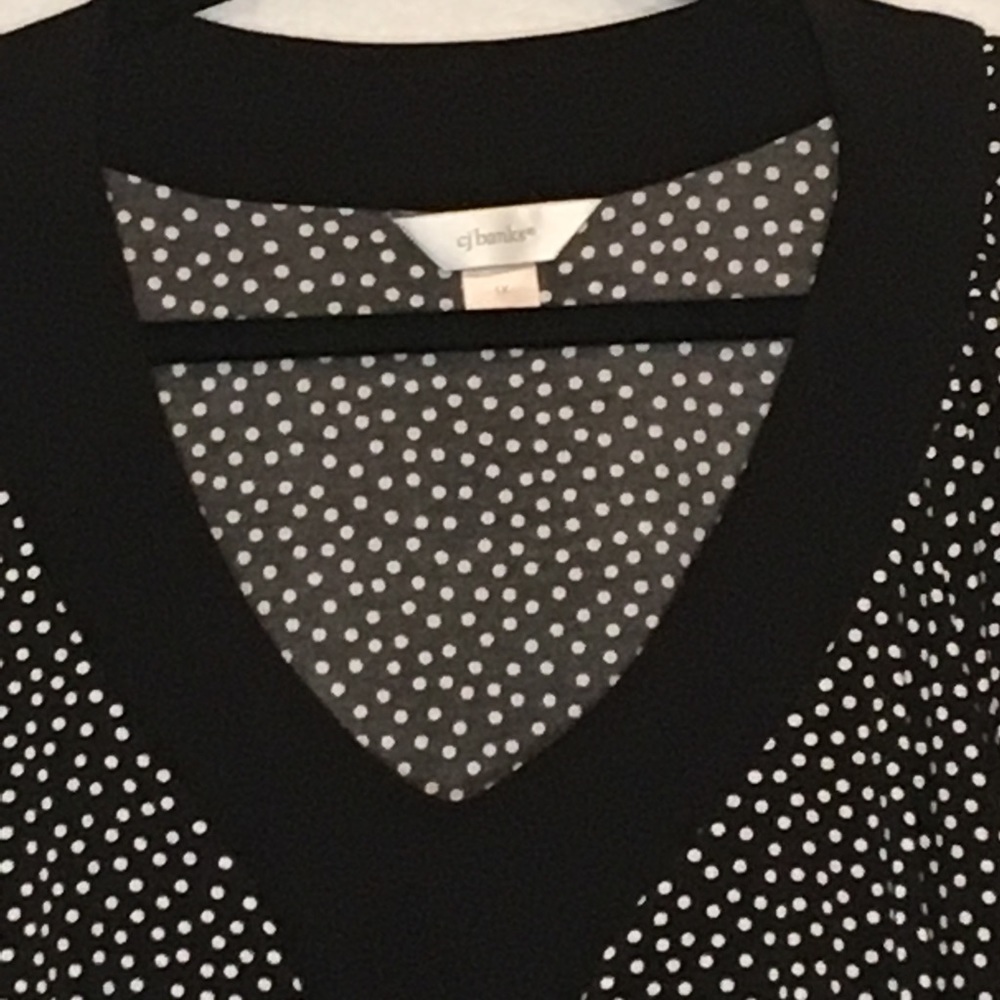 CJ Banks Polka Dot Ruffled Short Sleeve V Neck Top - Picture 3 of 6
